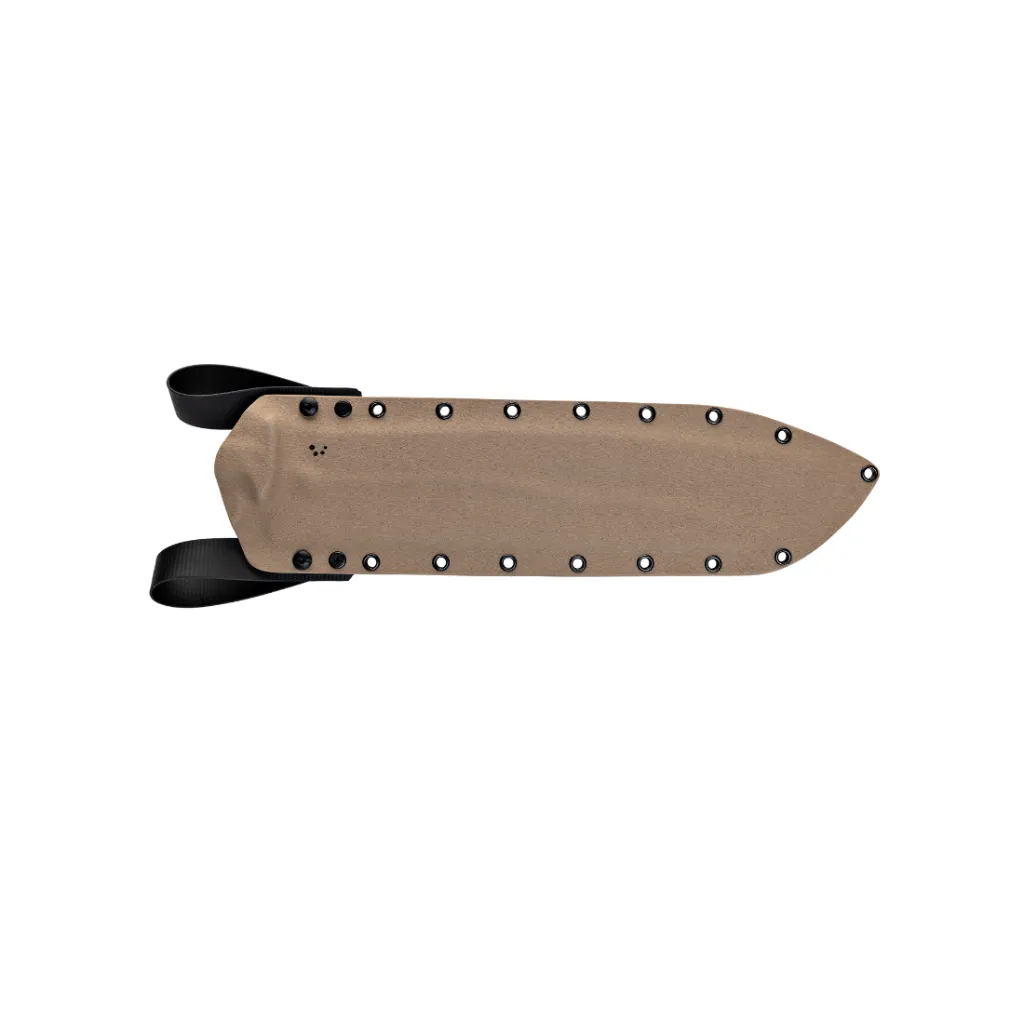 TIGER 4.webp